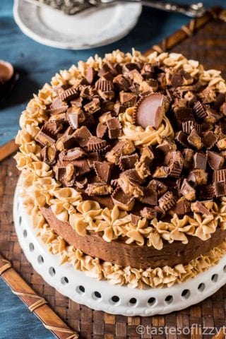 Reese's Chocolate Peanut Butter Cake | Tastes of Lizzy T