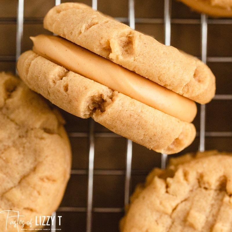 Peanut Butter Sandwich Cookies Recipe Tastes Of Lizzy T