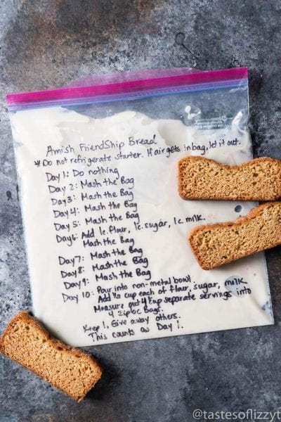 Amish Friendship Bread Starter Recipe {Hints for Storing and Using this ...