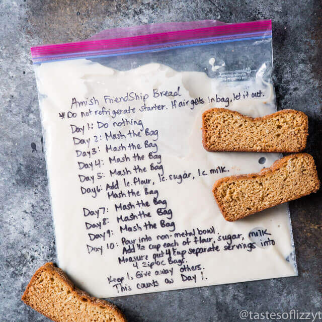 Amish Friendship Bread Starter Recipe 11 