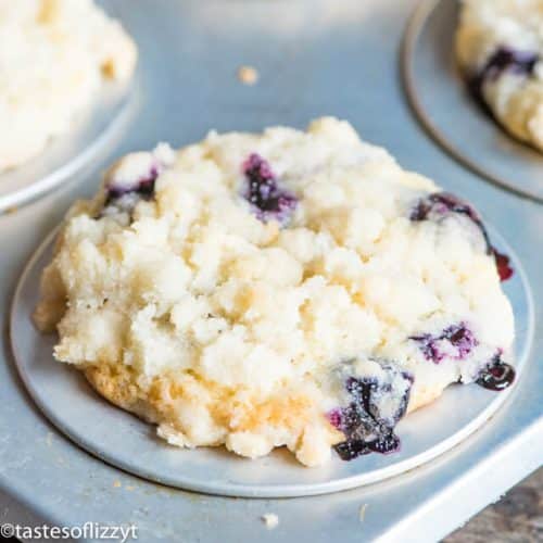 Blueberry Crumble Muffins Recipe With Sugar Streusel Topping