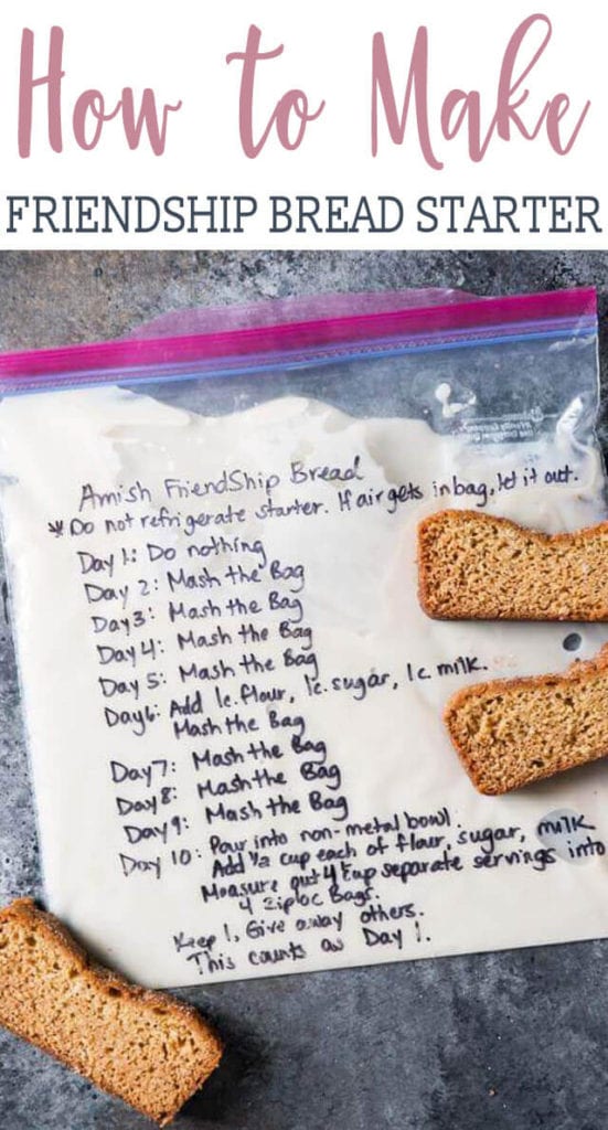 Amish Friendship Bread Starter Recipe {Hints for Storing and Using this