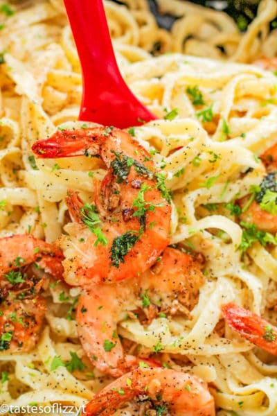 Shrimp Alfredo Pasta Recipe Homemade Alfredo Sauce with Fettucini