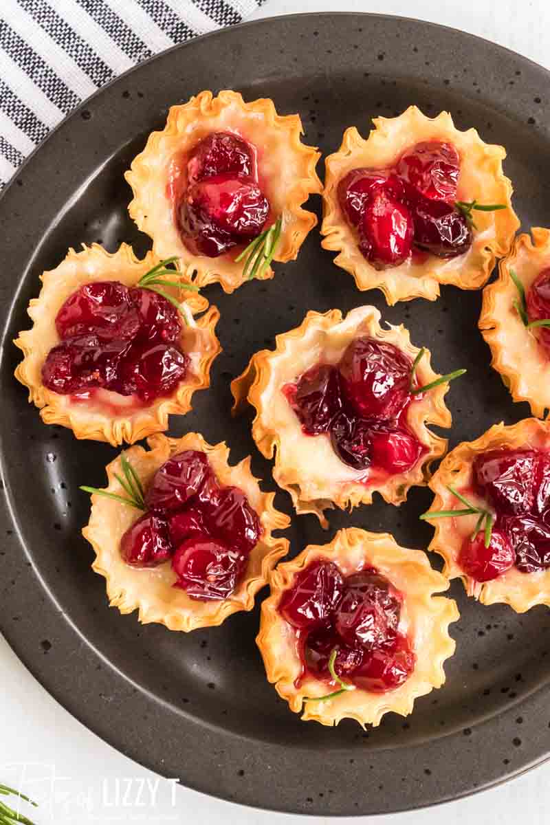 Cranberry Brie Bites {Holiday Party Appetizer in Phyllo Cups}