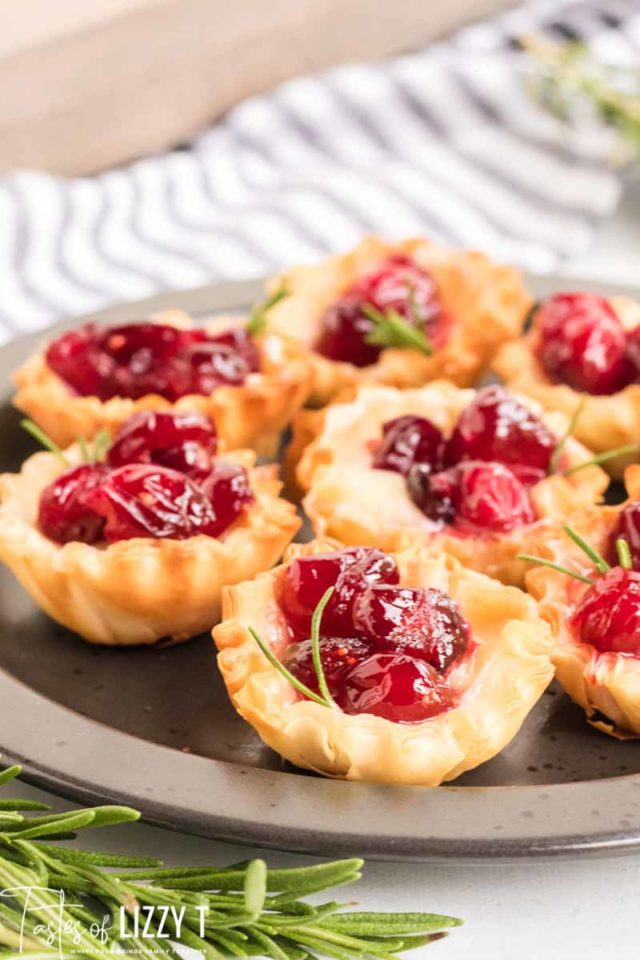 Cranberry Brie Bites {Holiday Party Appetizer in Phyllo Cups}