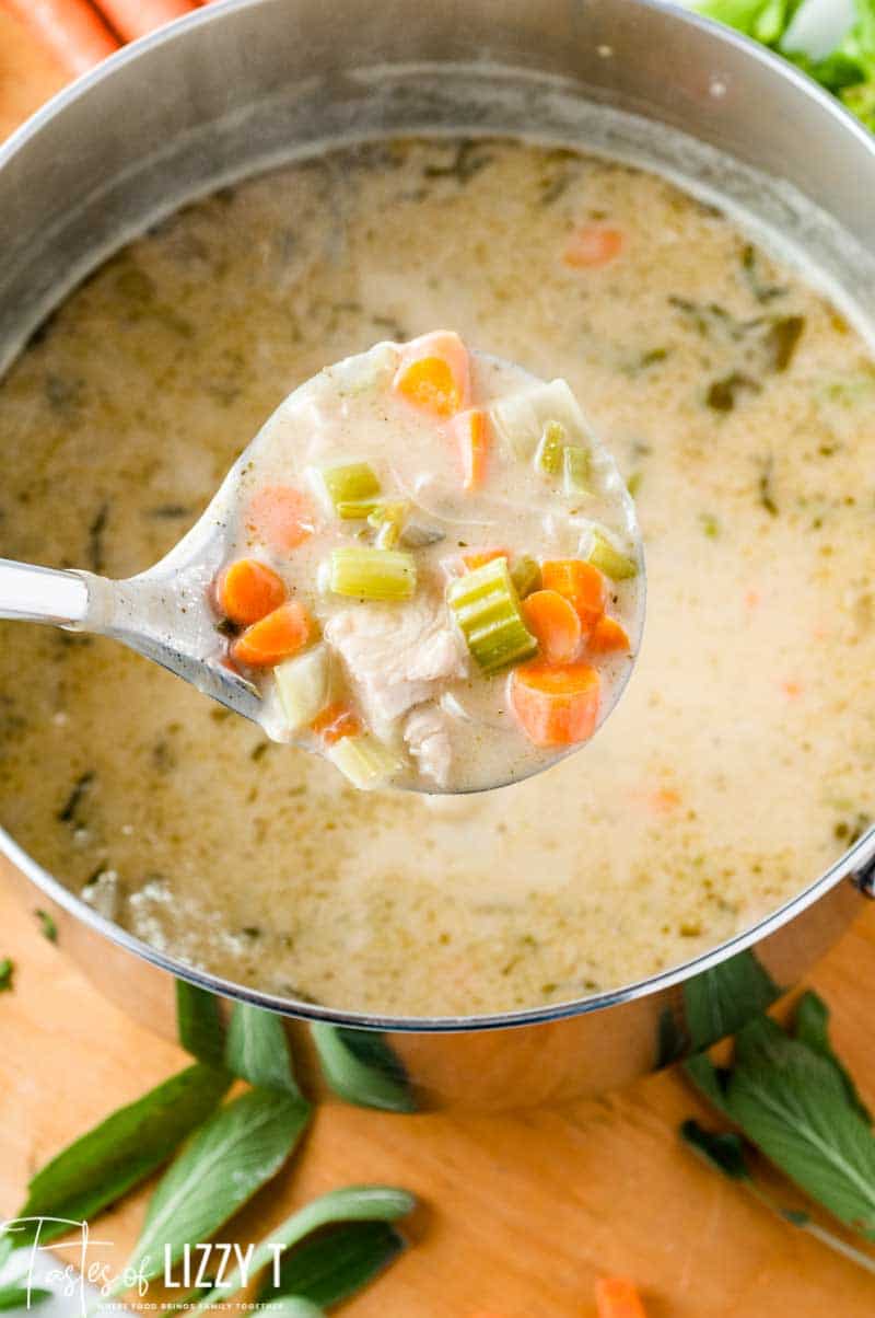 Easy Chicken Soup Recipe Loaded with Vegetables {No Noodles Needed!}