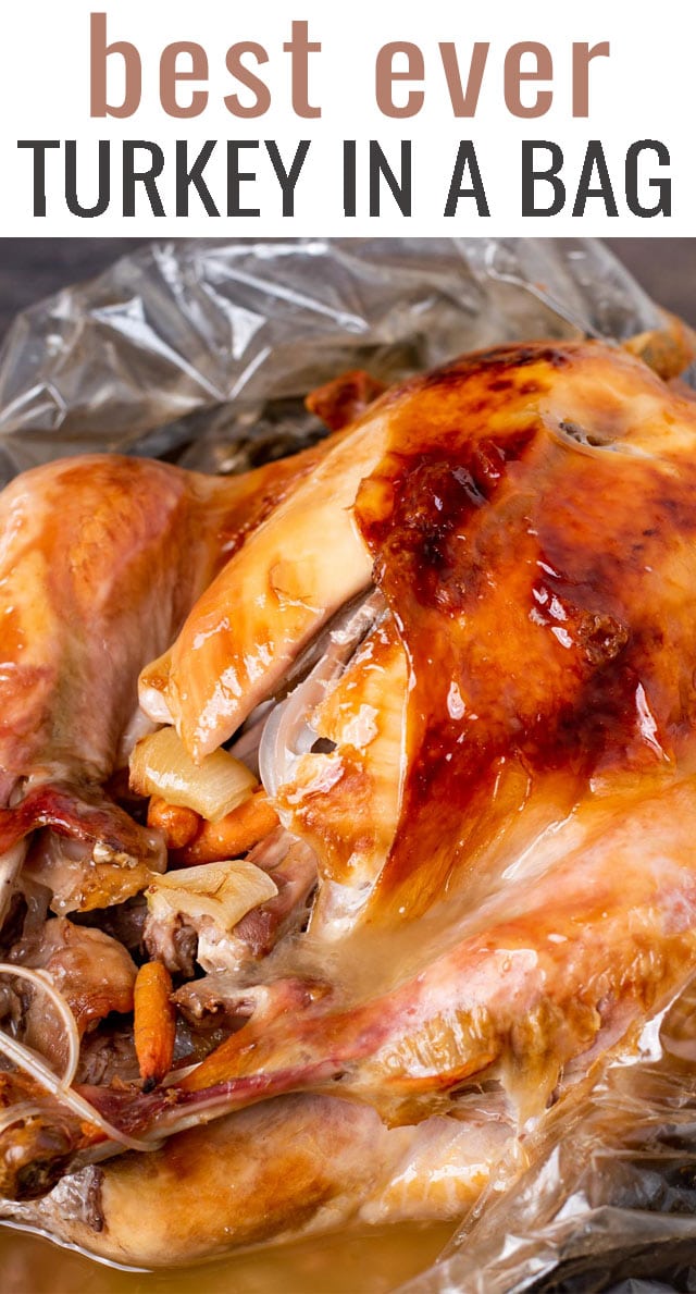 How to Cook a Turkey in a Bag + a DELICIOUS Champagne Turkey