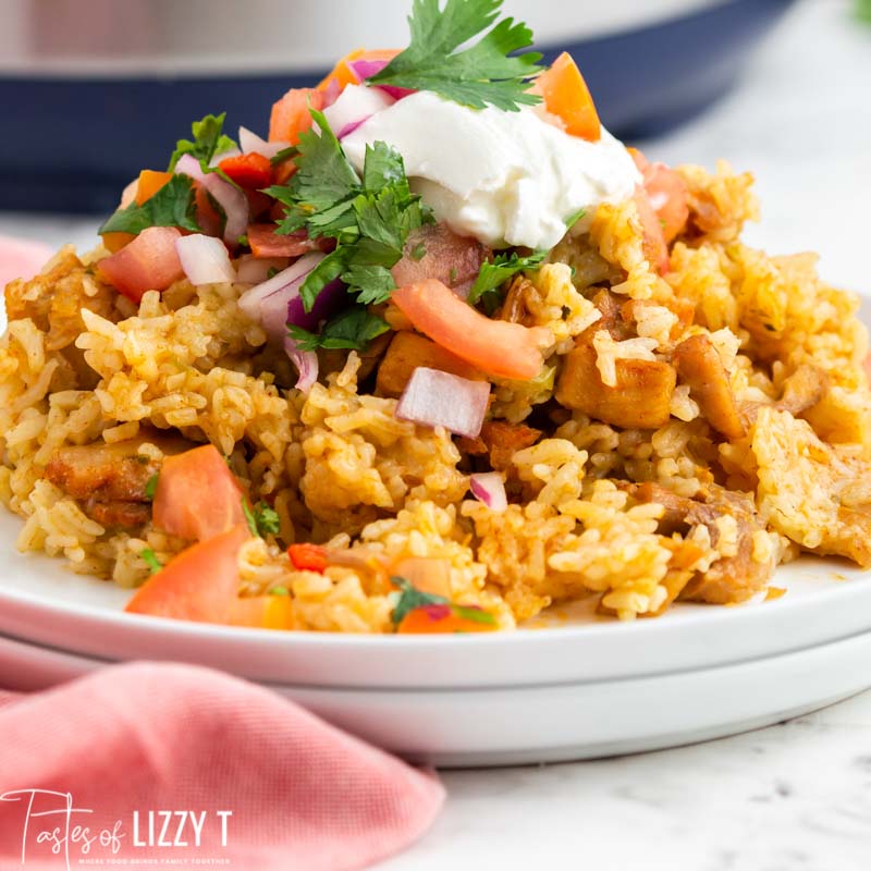 Salsa Verde Chicken And Rice Easy Instant Pot Recipe Tastes Of Lizzy T