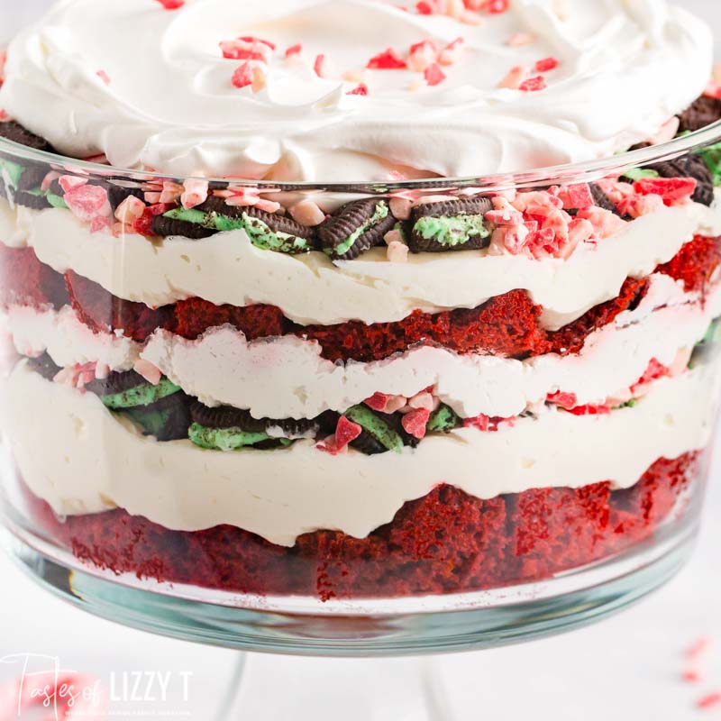Peppermint Cheesecake Trifle {Christmas Dessert} | Tastes of Lizzy T