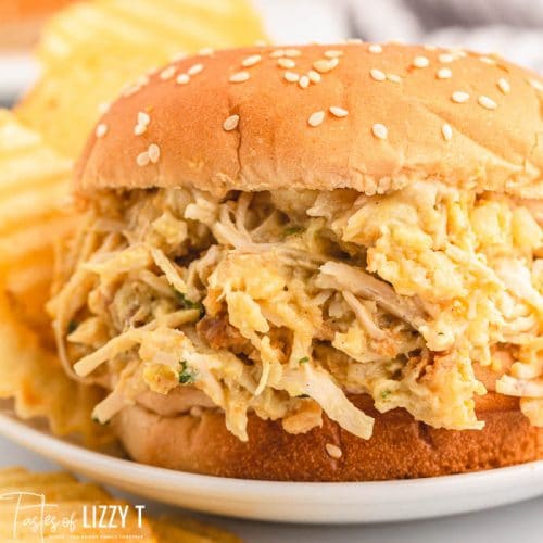 ohio-shredded-chicken-sandwiches-slow-cooker-tastes-of-lizzy-t