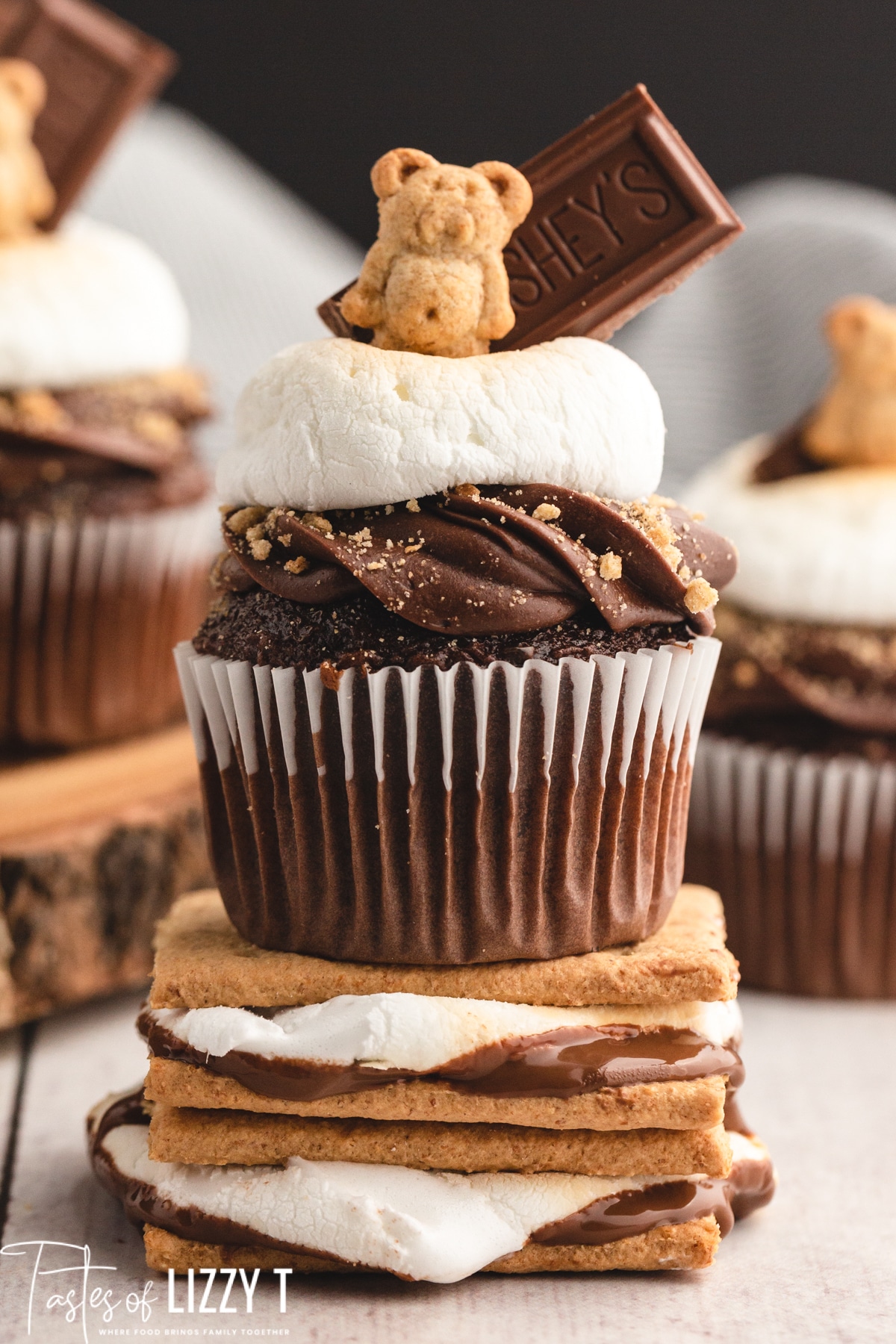 S'more Cupcakes {Camping Party Tastes T
