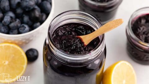 Blueberry Lemon Refrigerator Jam | Tastes of Lizzy T