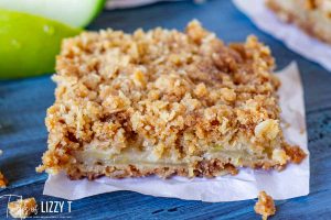 Apple Oatmeal Bars Recipe | Tastes of Lizzy T