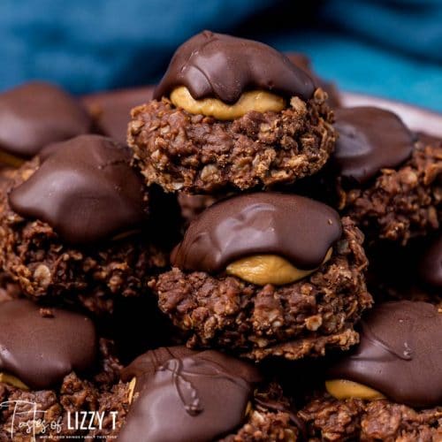 Buckeye No Bake Cookies Recipe | Tastes of Lizzy T