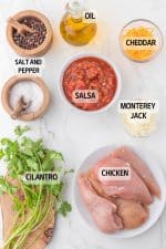 Baked Salsa Chicken Recipe | Tastes Of Lizzy T