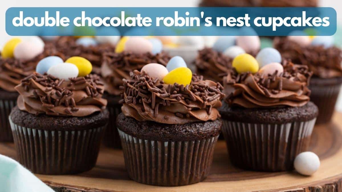 Double Chocolate Robin’s Nest Cupcakes