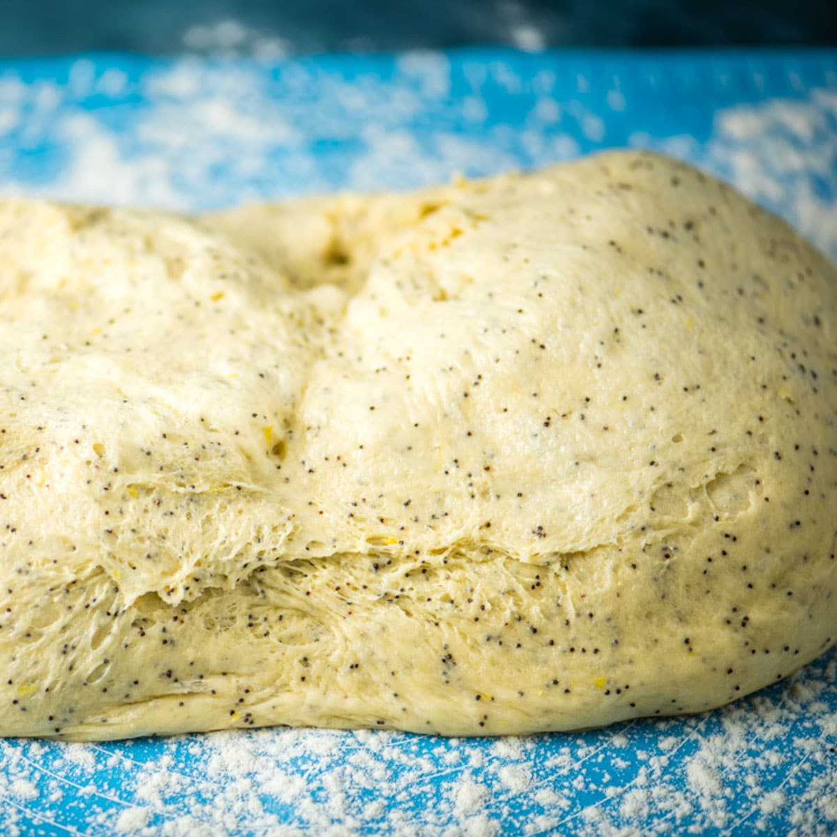 a lump of poppy seed dough