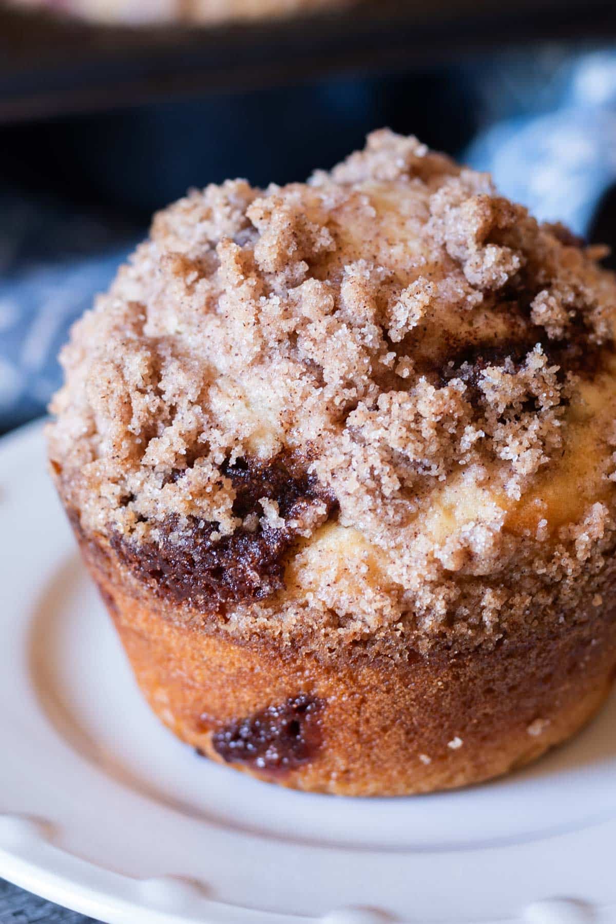 closeup of a bakery style snickerdoodle muffin