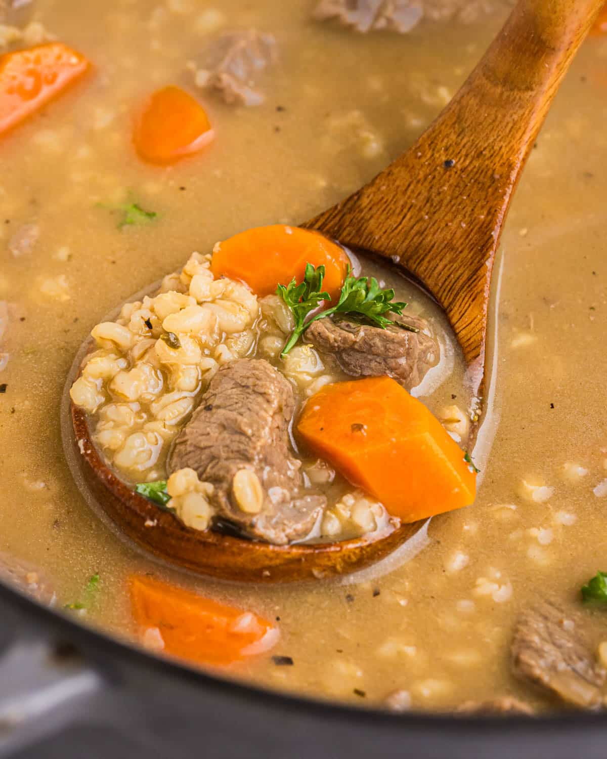 a ladle of beef barley soup