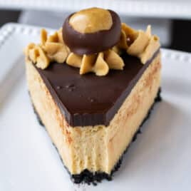 buckeye cheesecake on a plate with a bite out