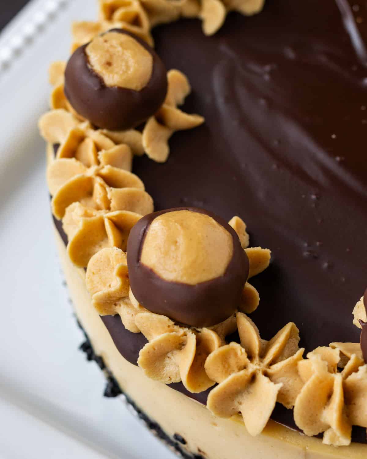 overhead view of a buckeye cheesecake