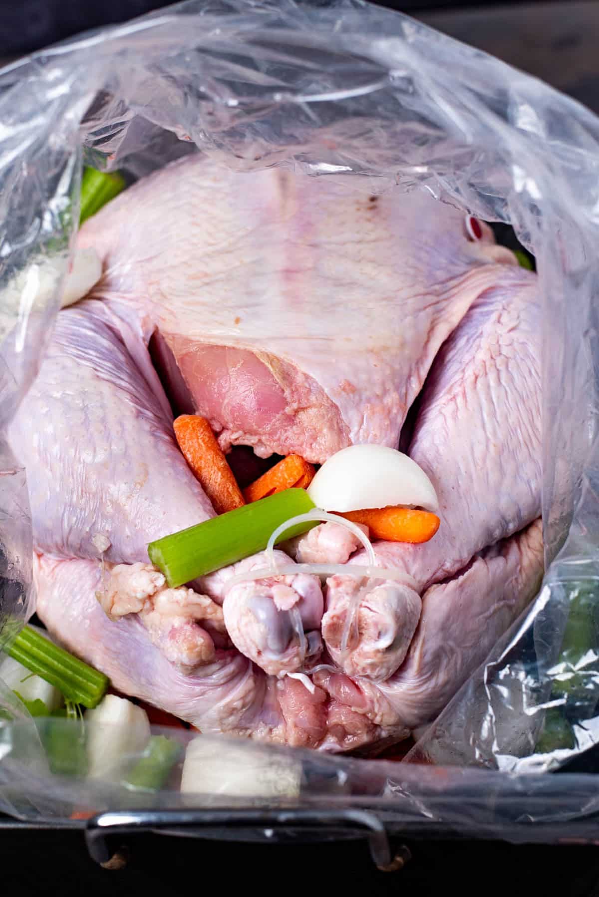 uncooked turkey in a bag