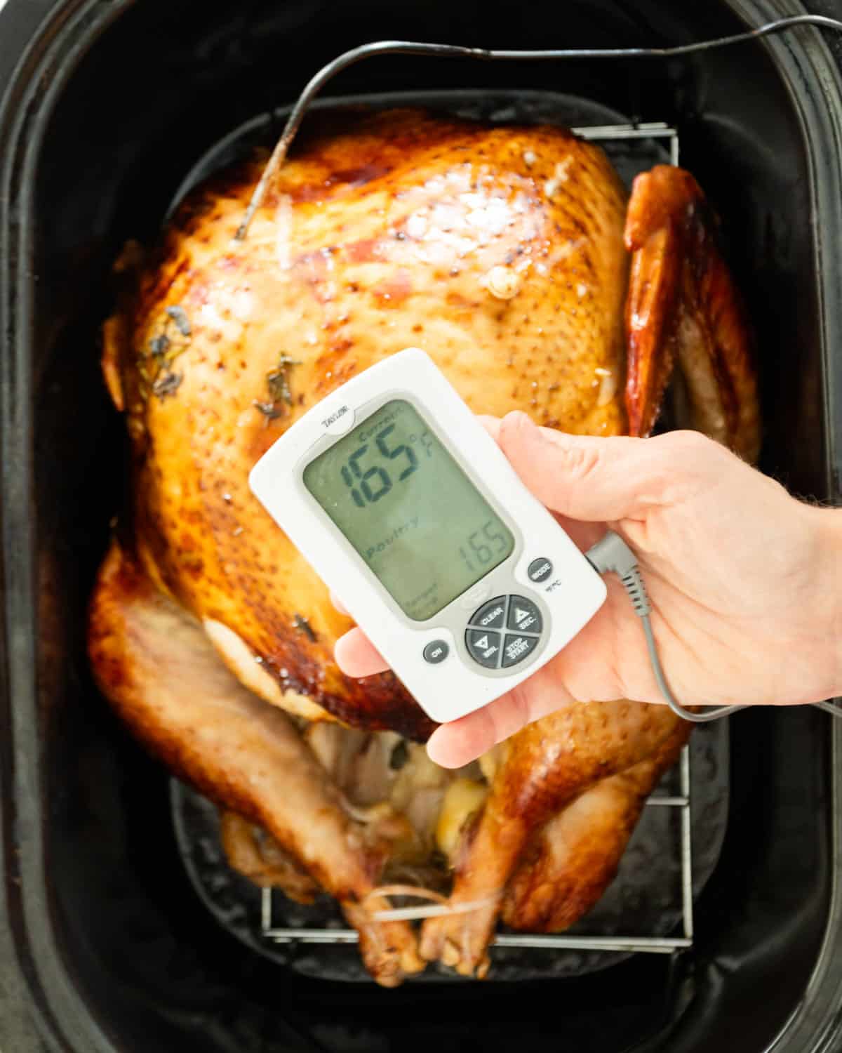 cooked turkey in roaster to 165ºF