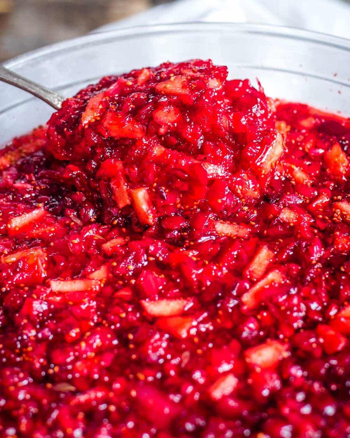 a spoonful of cranberry orange jello salad