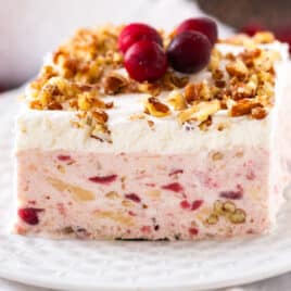 a piece of frozen cranberry dessert on a plate