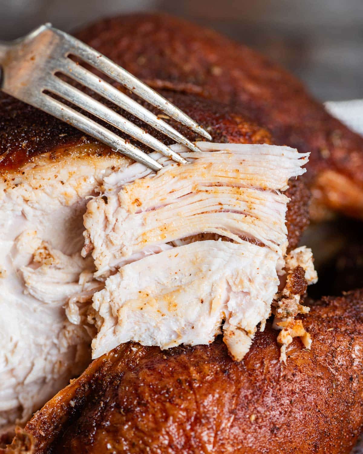 closeup of a fork holding sliced white turkey meat