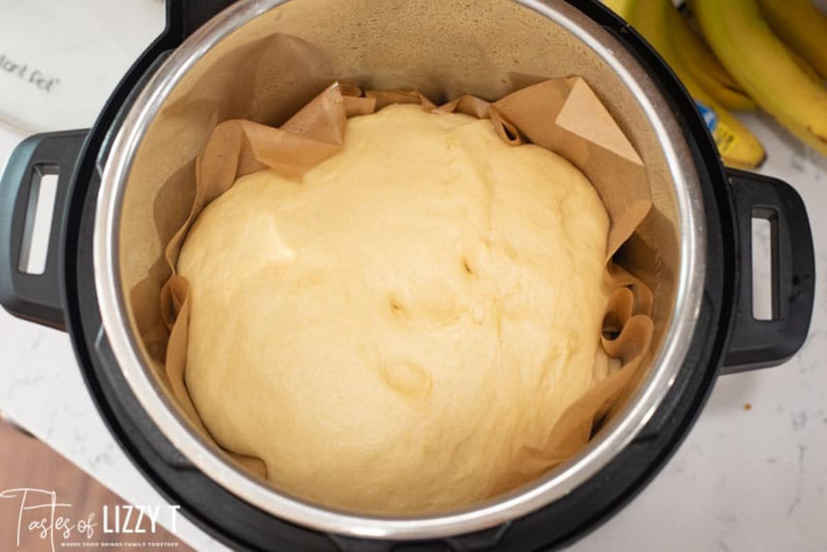 dough in an instant pot