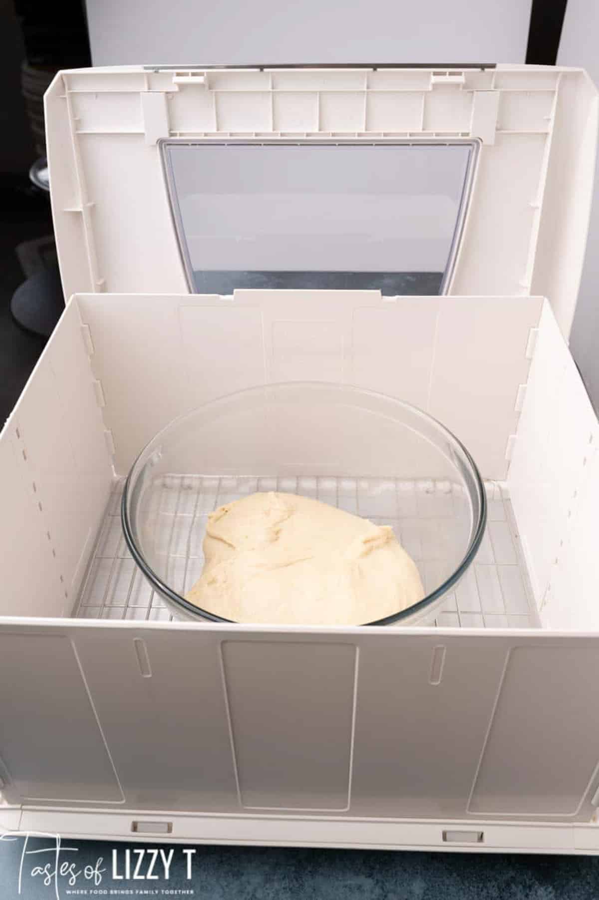 dough in a bread proofing box