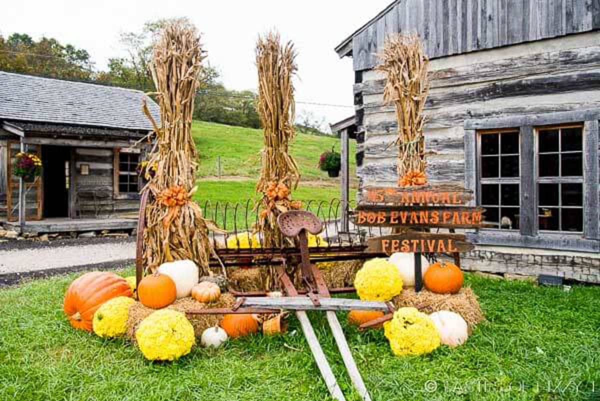 bob evans farm festival sign