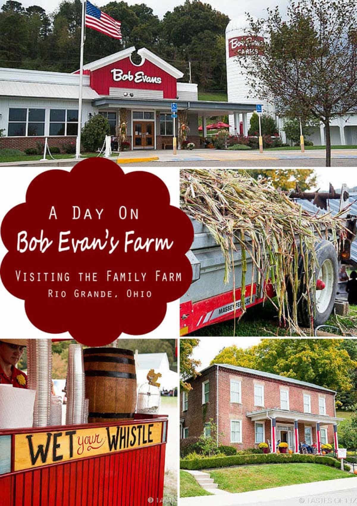 a day on bob evans farm collage