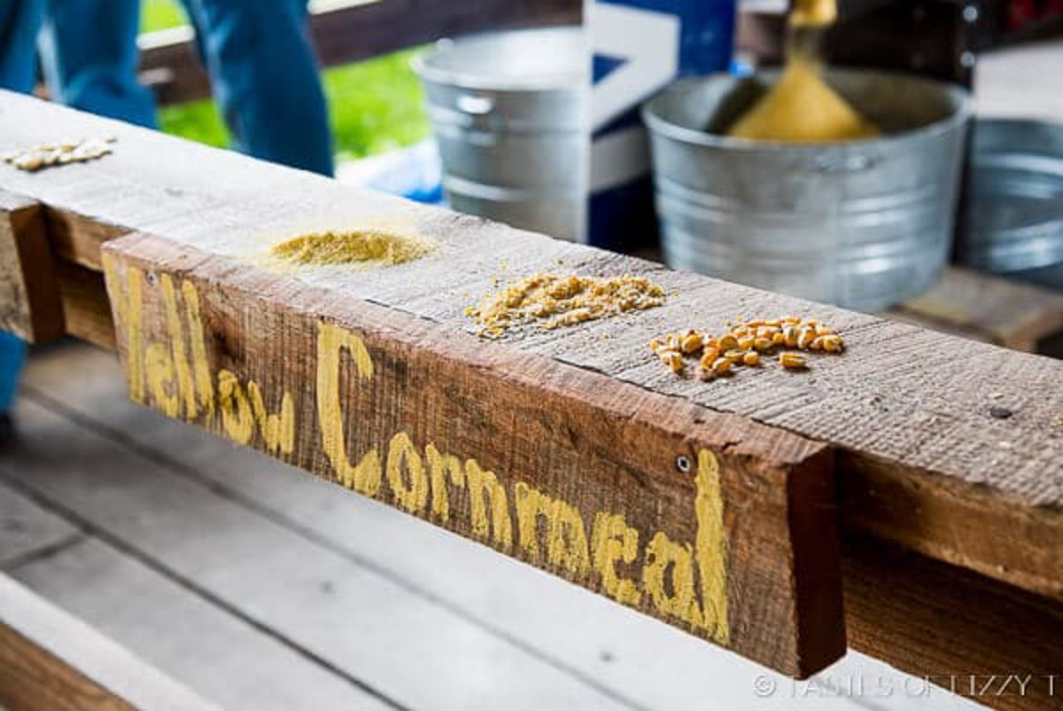 different types of corn meal on display