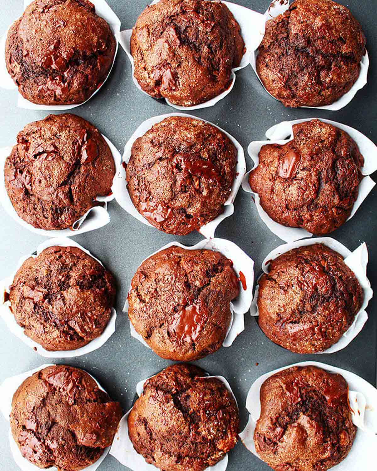 overhead view of chocolate fudge muffins in a baking pan