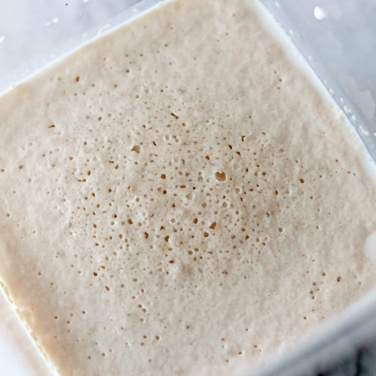 frothed yeast in a bowl