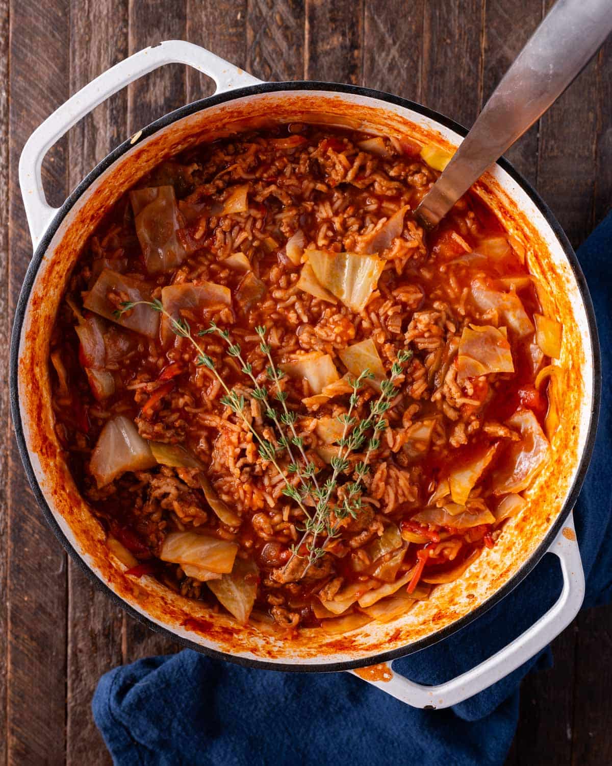 overhead view of stuffed cabbage soup