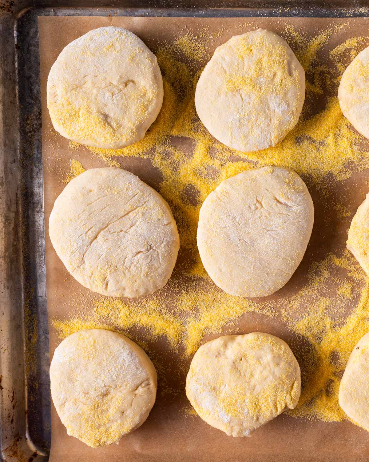 uncooked english muffins on a baking sheet with cornmeal