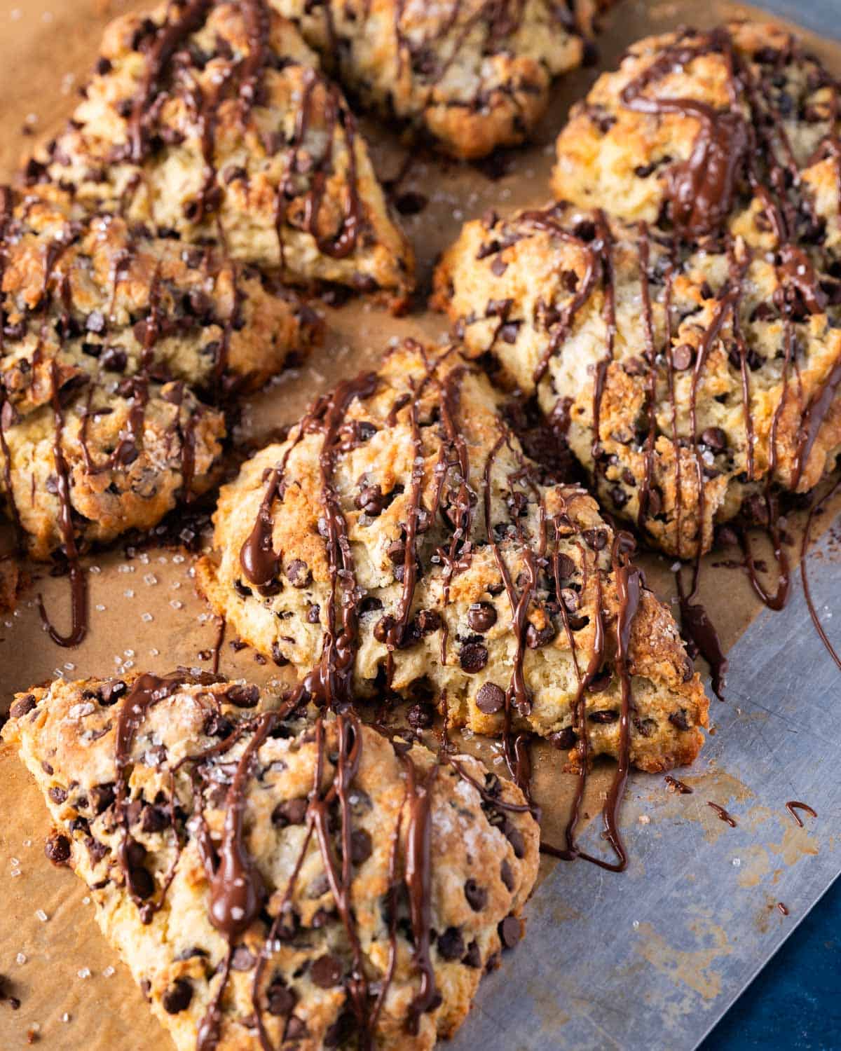 overhead view of chocolate drizzled sourdough discard scones on a baking sheet