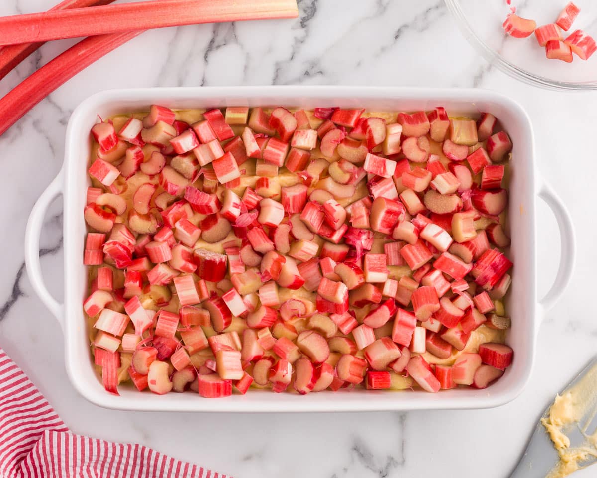 sliced rhubarb over cake batter in a pan